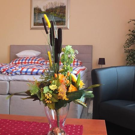 Country House Baranjski Tulipan Draz Room photo