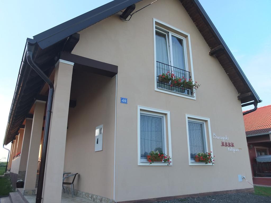 Country House Baranjski Tulipan Draz Exterior photo