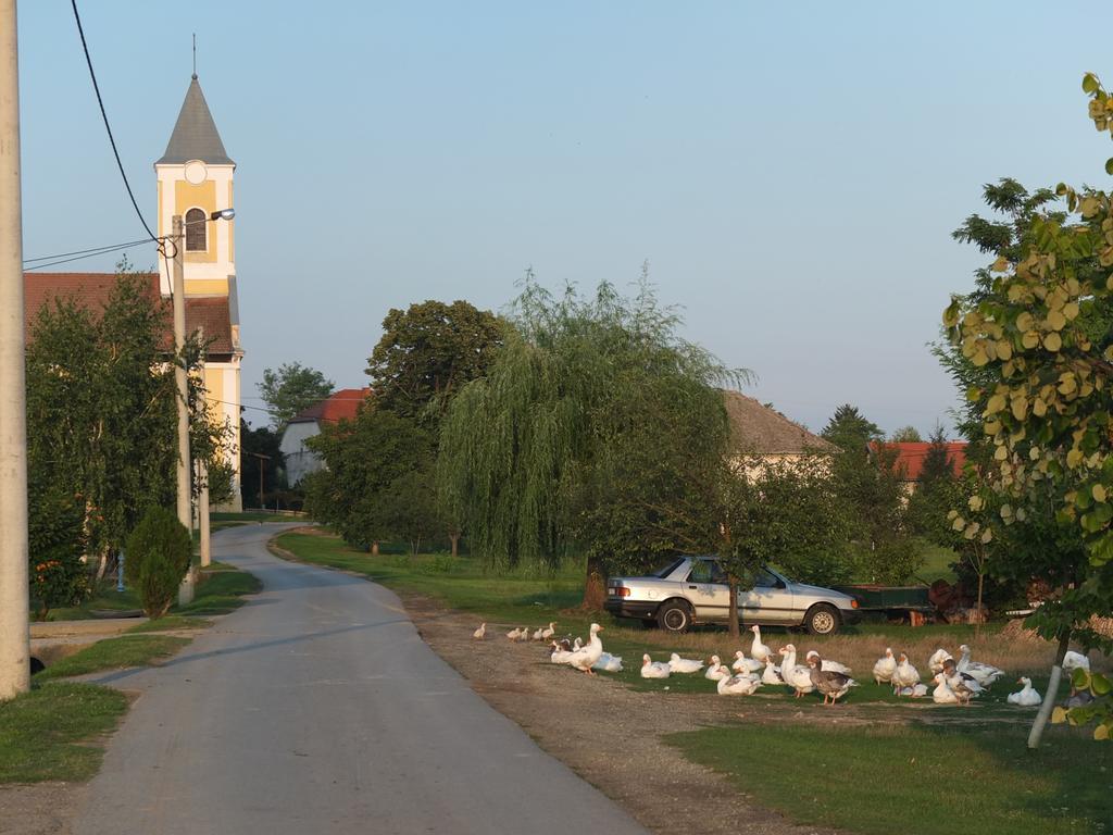 Country House Baranjski Tulipan Draz Exterior photo