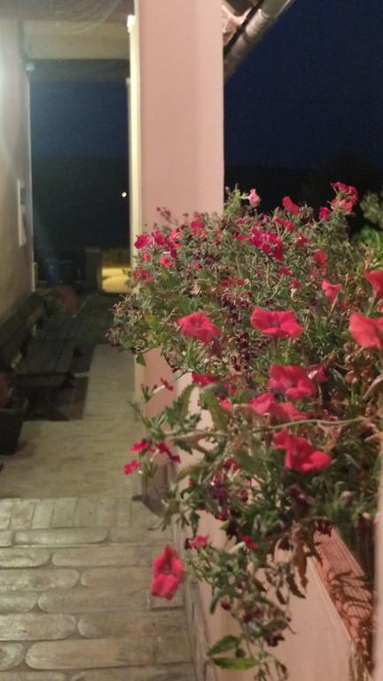 Country House Baranjski Tulipan Draz Exterior photo