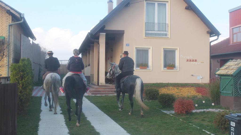 Country House Baranjski Tulipan Draz Exterior photo